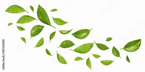 A scattering of vibrant green leaves elegantly arranged on a white background
