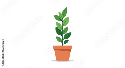 Single green houseplant with several oval leaves growing in a classic terracotta clay pot shown as a clean vector illustration.