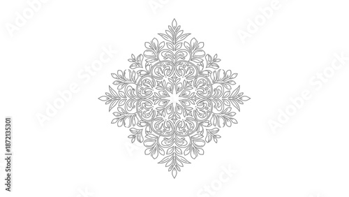 Intricate detailed symmetrical floral mandala pattern design.