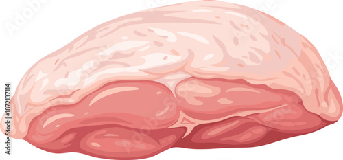 Human brain, anatomical illustration, neuroscience concept, brain structure, medical diagram, cognitive organ, pink folds, psychology symbol, biology education, mental health, brain anatomy