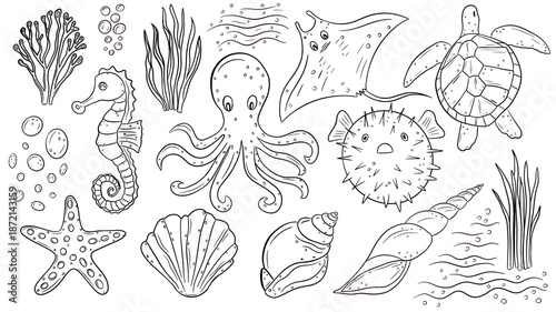 Photography Hand drawn marine doodle set with sea animals and ocean elements in black outline style