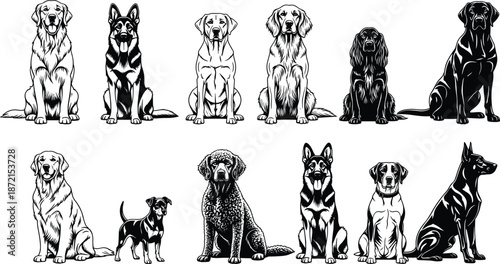 Collection of detailed dog breed illustrations showing various sitting canine poses isolated on white background for pet design use