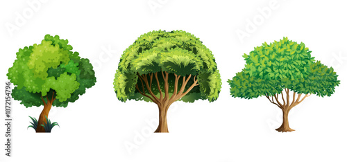 Tree Vector Illustration Collection Featuring Tropical and Orchard Trees with Mango, Apple, Banana, Orange, Coconut Palm and More Isolated on White Background