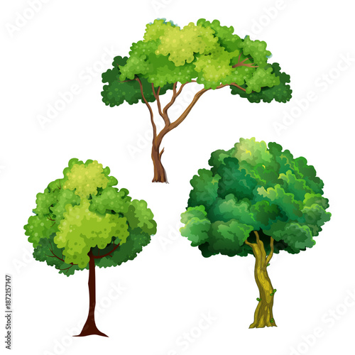 Tree Vector Illustration Collection Featuring Tropical and Orchard Trees with Mango, Apple, Banana, Orange, Coconut Palm and More Isolated on White Background