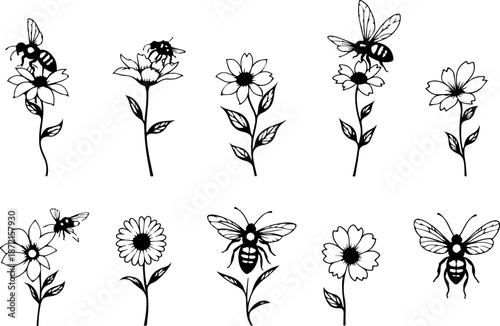 Spring Garden Bees and Daisy Floral Illustration Collection