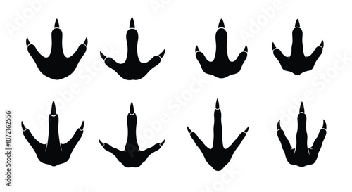 Collection of various bird footprint silhouettes and dinosaur tracks depicted in black on a white background for design and identification.