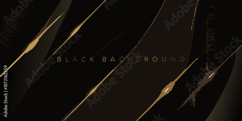 Elegant black background with golden linear accents and textured details