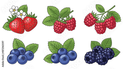 Assorted collection of hand-drawn berries including ripe strawberries, raspberries, blueberries, and blackberries with leaves.