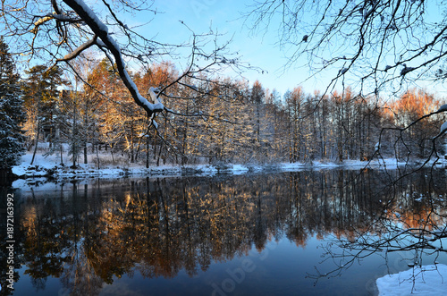 reflection in the water