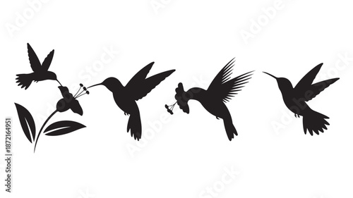 Hummingbirds Silhouettes Flying Around Flower