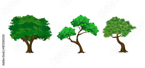 Tree Vector Illustration Collection Featuring Tropical and Orchard Trees with Mango, Apple, Banana, Orange, Coconut Palm and More Isolated on White Background
