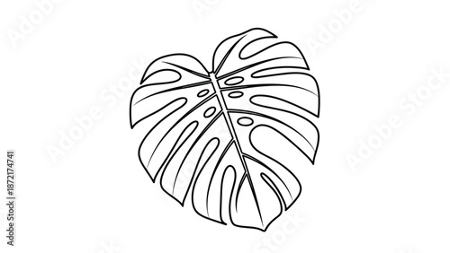 Elegant black and white line art illustration of a single monstera deliciosa leaf with its characteristic holes and splits.