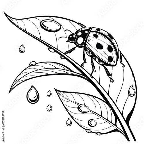 Monochrome ladybug crawls on leaves after a rainfall, surrounded by water droplets in the garden