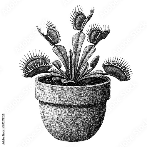 venus flytrap plant in a pot, retro halftone style plant illustration