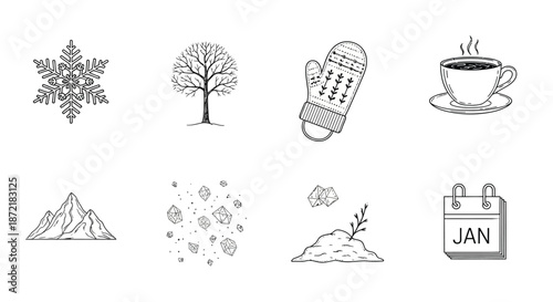 Winter icons representing january