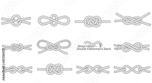 Various knots illustrated for reference