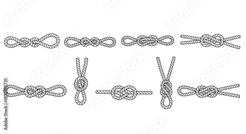 Illustrations of various knots