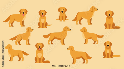 A collection of vector illustrations featuring golden retriever dogs in various poses on a plain background, showcasing different angles and actions of the breed.