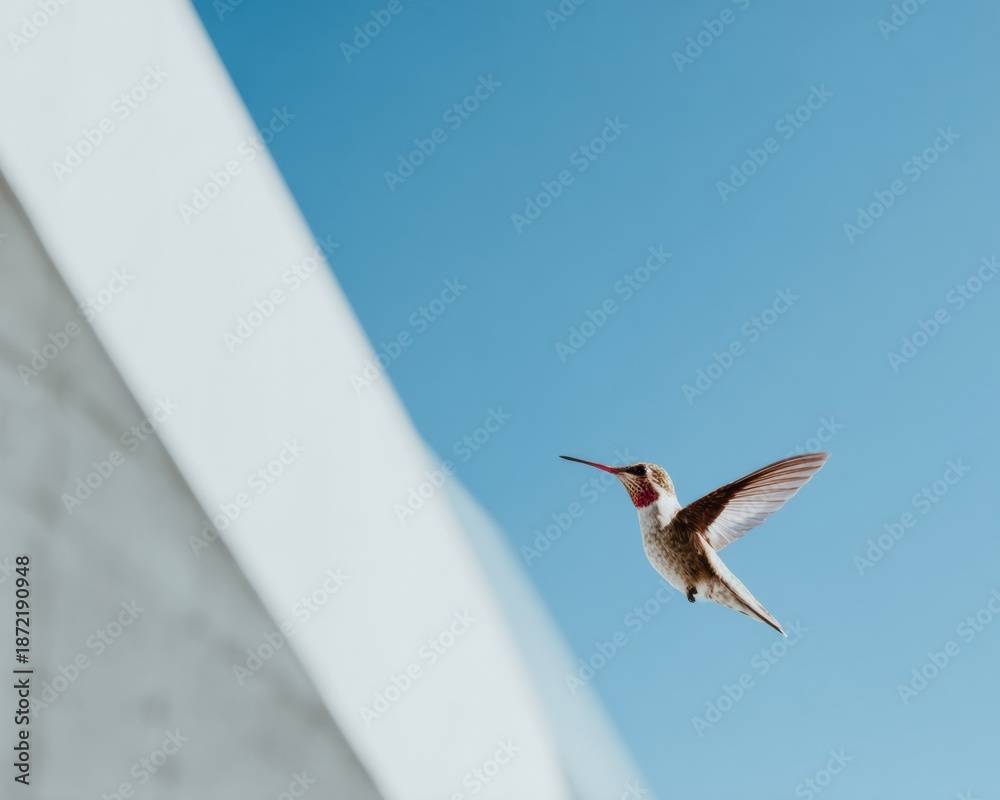 Obraz premium Premium Hummingbird Design Element Pixel Pink, Shadow Black, Glitch Purple for Modern Creative Assets and Web Use