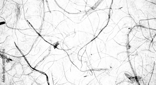 An abstract texture of entangled fibers on a white paper background with natural patterns