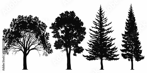 A collection of black silhouette trees displaying varied foliage and forms