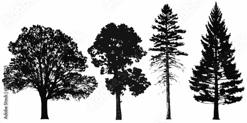 Silhouettes of various evergreen and deciduous trees against a white background