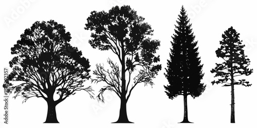 Silhouetted trees in a row displaying variations in shape and foliage