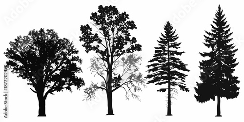 Silhouettes of various trees against a neutral light colored background