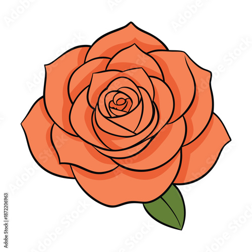 A Coral Juliet garden rose blooms with soft, romantic petals in warm coral hues, exuding a delicate fragrance that brightens any garden with elegance and charm.
