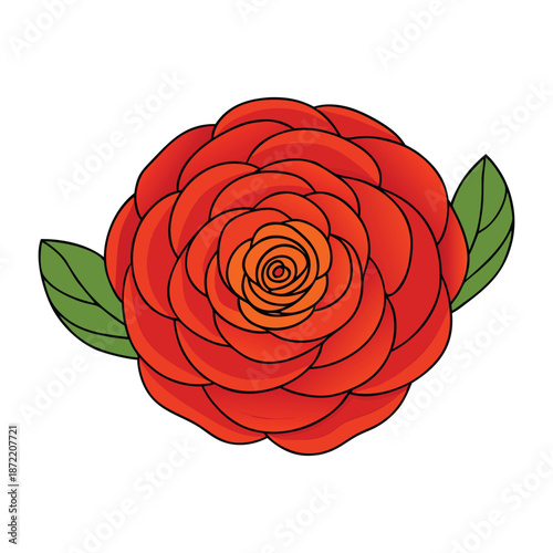 Bright and layered ranunculus blooms dazzle with delicate, paper-thin petals in shades of pink, yellow, and white, adding elegance and charm to any garden or bouquet.
