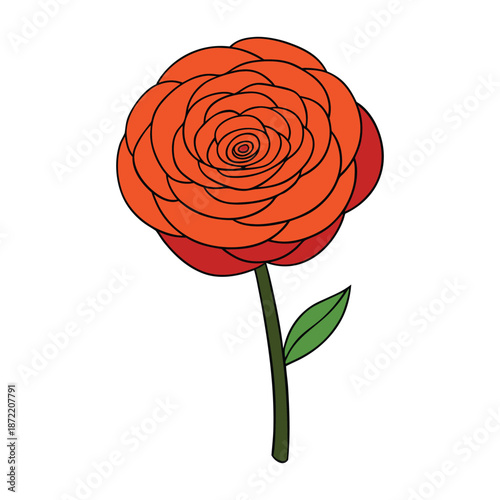 Bright and layered ranunculus blooms dazzle with delicate, paper-thin petals in shades of pink, yellow, and white, adding elegance and charm to any garden or bouquet.
