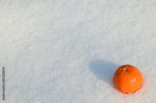 Mandarin in the snow
