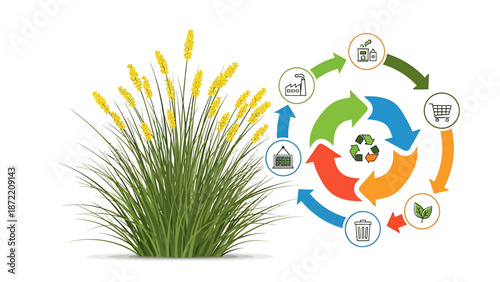 circular economy process illustrating sustainable product lifecycle from natural plant resources to production consumption and recycling initiatives.