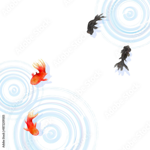 Top view of goldfish swimming with water ripples, minimal Japanese style illustration