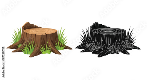 A comparison of two tree stumps one colored and one monochrome