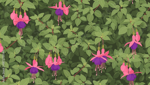 fuchsia flowers pattern with vibrant pink and purple blooms among lush green leaves creating a seamless botanical background for design projects and textiles