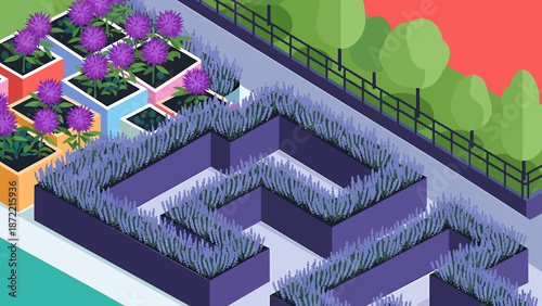 isometric urban garden design with purple flowers in planters a lavender maze and trees for modern landscape architecture concepts.