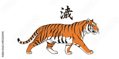 Tiger, color vector illustration. Inscription on illustration is a hieroglyph of tiger (japanese or chinese).
