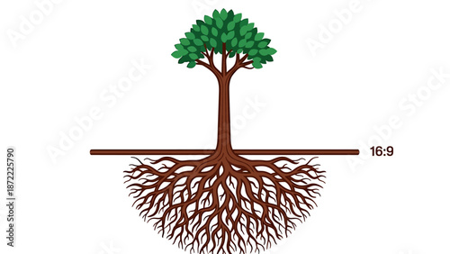 tree roots 169 aspect ratio concept illustrating deep foundational support and hidden growth principles for visual content in digital marketing.