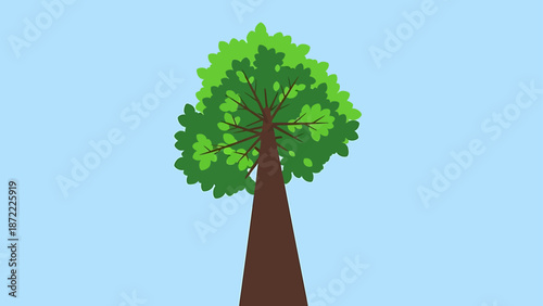 upward view of a large green tree with lush foliage and a sturdy brown trunk against a clear blue sky ideal for nature growth and eco visuals.