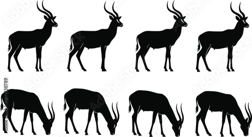 Antelope silhouettes collection, gazelle animal poses, black wildlife mammal, grazing and standing deer, African nature vector illustration set