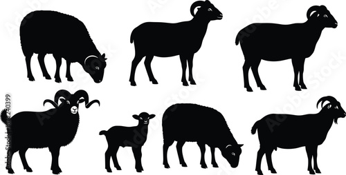 Sheep and ram silhouettes, farm animal collection, grazing livestock shapes, black rural animal icons, agriculture themed vector illustration set