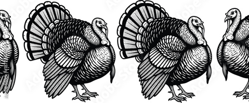 Vintage turkey vector illustration set, black and white engraved farm bird artwork with detailed feathers, rustic traditional poultry design for branding decor