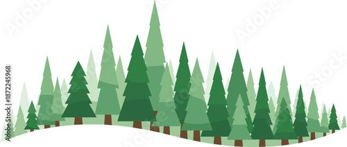 Pine forest landscape illustration, green evergreen trees, nature scenery background, flat vector design, isolated on white, eco environment concept art