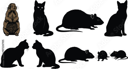 Cat and rat silhouette set with sitting crouching poses black animal shapes wildlife vector illustration