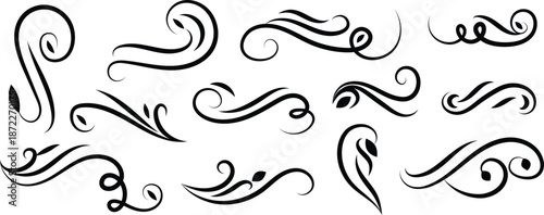 Collection of elegant black swirling calligraphy flourishes and decorative elements