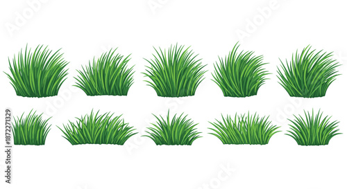 Collection of ten different green grass patches and tufts in various shapes and sizes for landscaping and nature scene backgrounds.