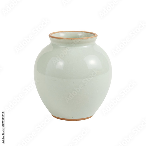 Simple Light Green Vase With a Rounded Shape on a Plain Background