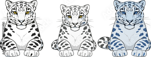 Cute snow leopard cub character set with sitting poses different colors cartoon wildlife animal mascot vector illustration