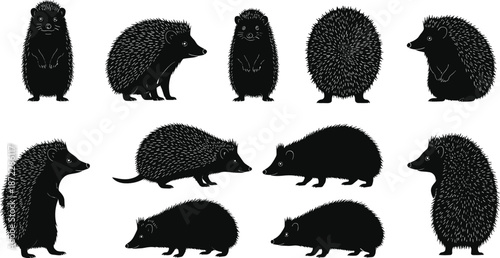 Hedgehog silhouette illustration set with multiple standing walking curled poses black forest animal vector collection